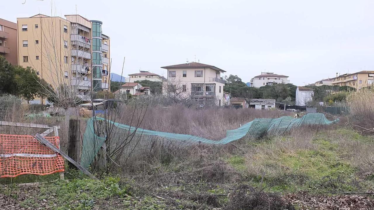 Campi incolti sul tracciato della strada di collegamento tra via Norvegia e via di Padule