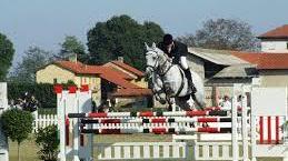 Una gara di equitazione