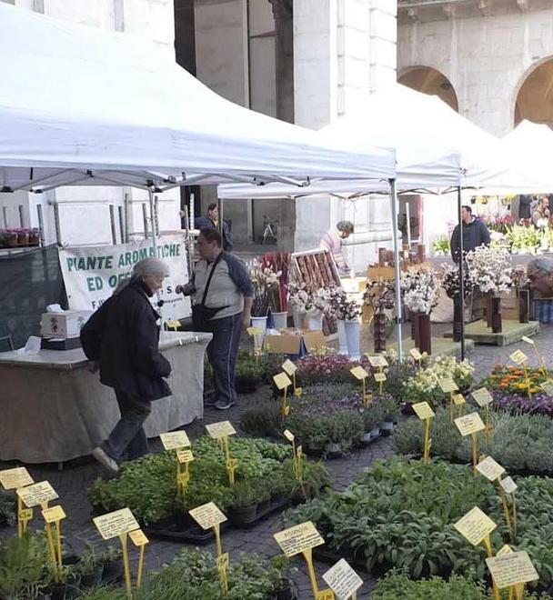 “Pisa in fiore” fa il pieno oggi giornata conclusiva