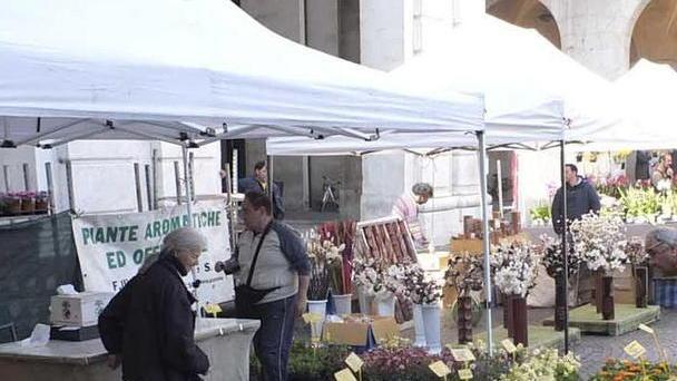 “Pisa in fiore” fa il pieno oggi giornata conclusiva