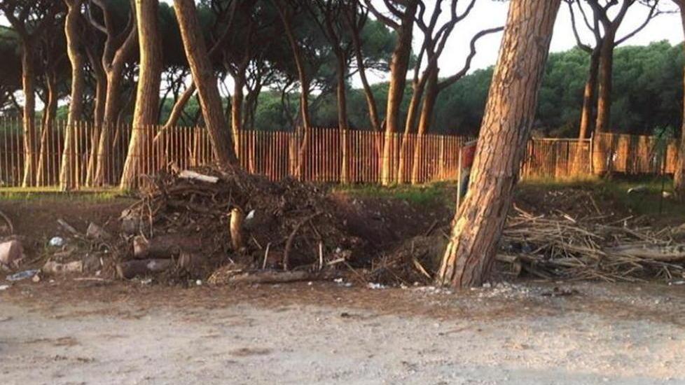 Rifiuti in pineta Vicino alla Colonia c’è una discarica