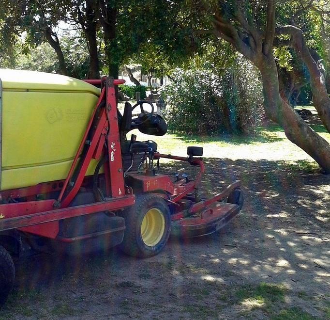 La buona notizia: giardini e aiuole hanno il look giusto