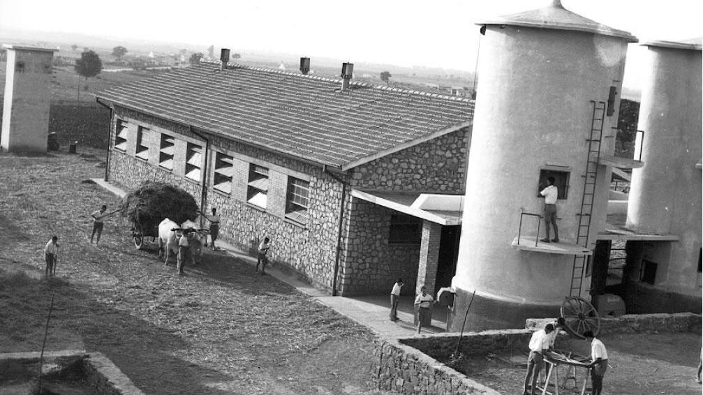 L'ex Enaoli di Rispescia in una foto dell'archivio Fratelli Gori