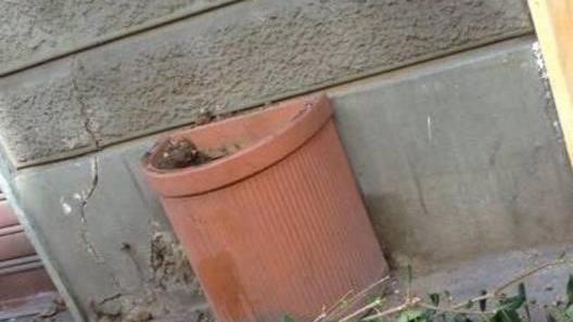 Blitz dei vandali in centro distrutti cestini e fioriere