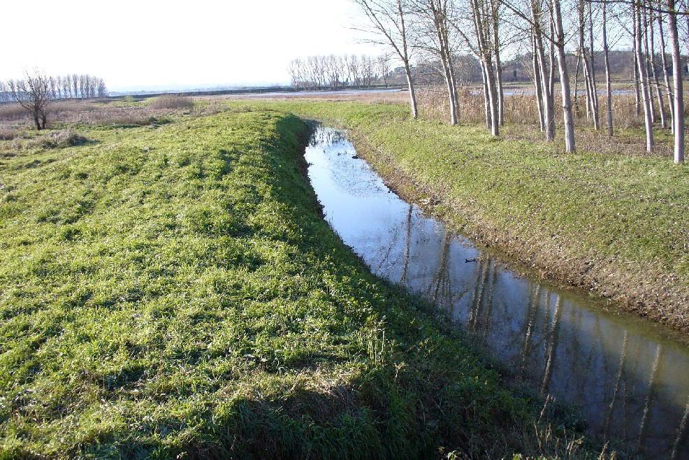 Un canale
