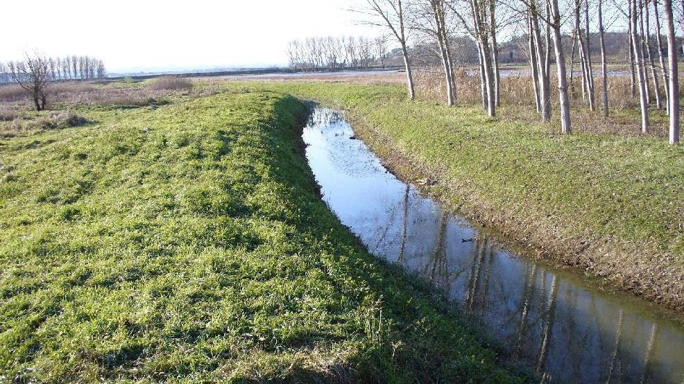 Un canale