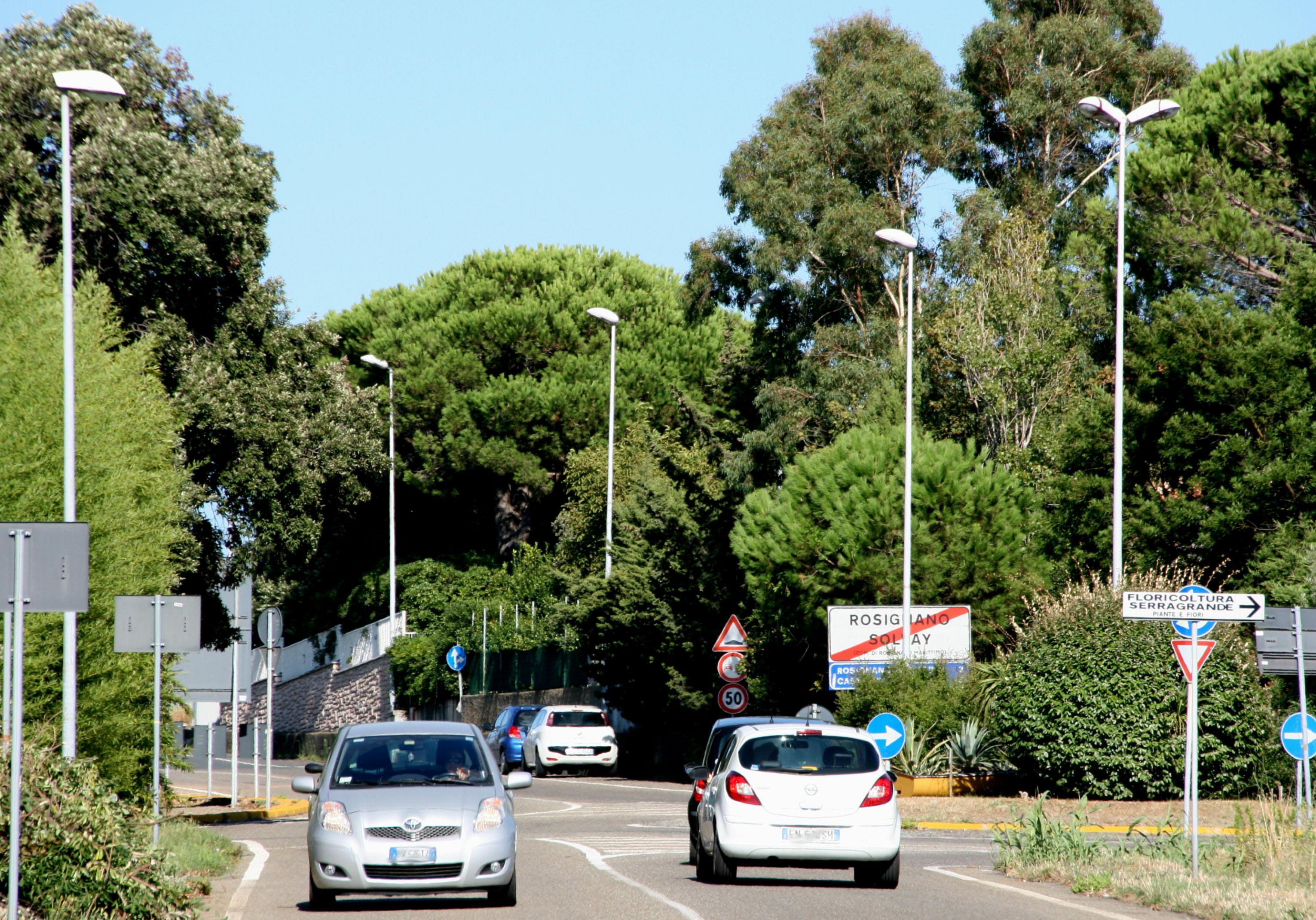 Lampioni su viale dei Medici a Rosignano