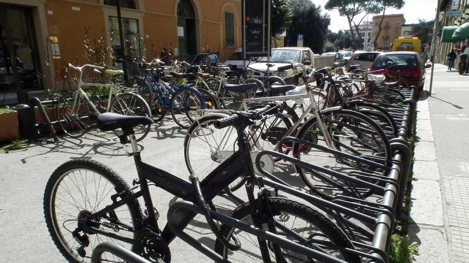 Ladri di biciclette scatenati più di mille furti all’anno