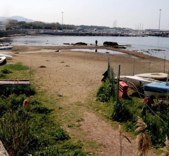 Ripulita la spiaggetta dei cani 