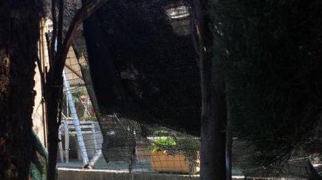 Euforia e danni al Solvay dopo il derby