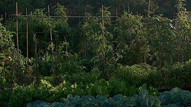 «A rischio gli orti per gli anziani»