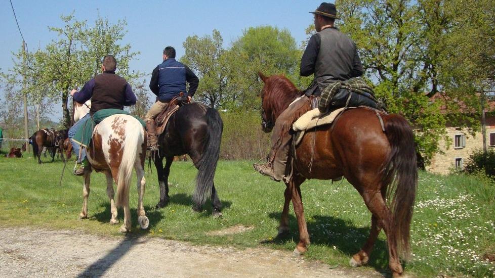Turisti a cavallo tra i nostri sentieri dell’Appennino