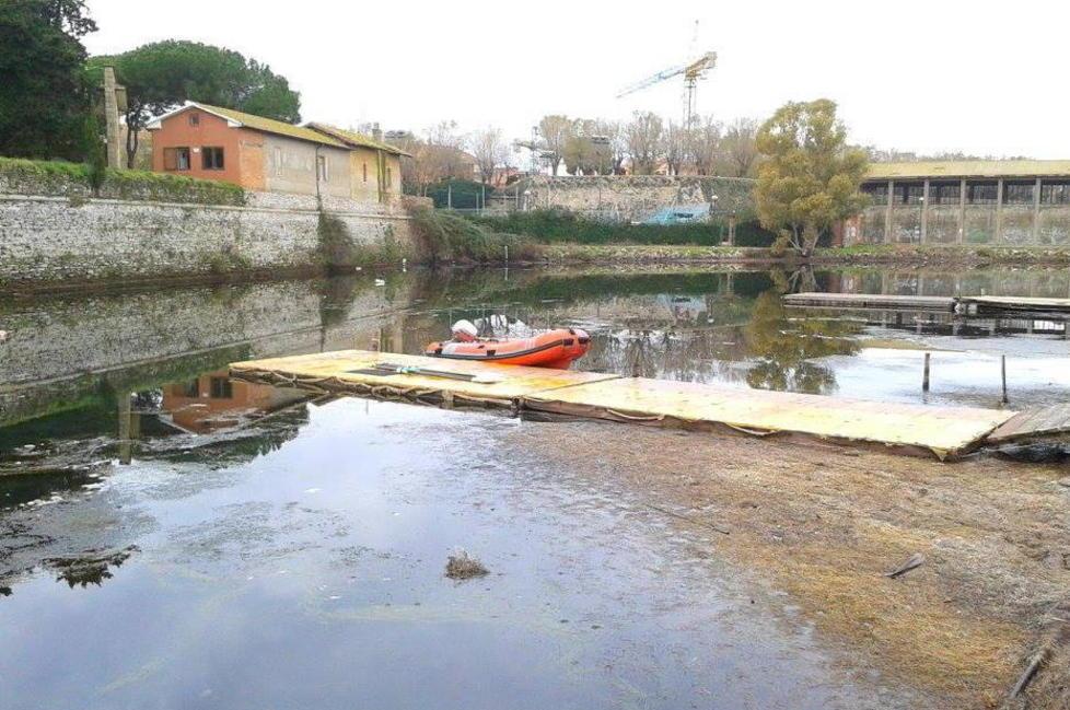 La darsena dei canottieri invasa da alghe 