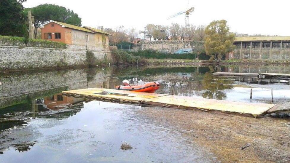 La darsena dei canottieri invasa da alghe