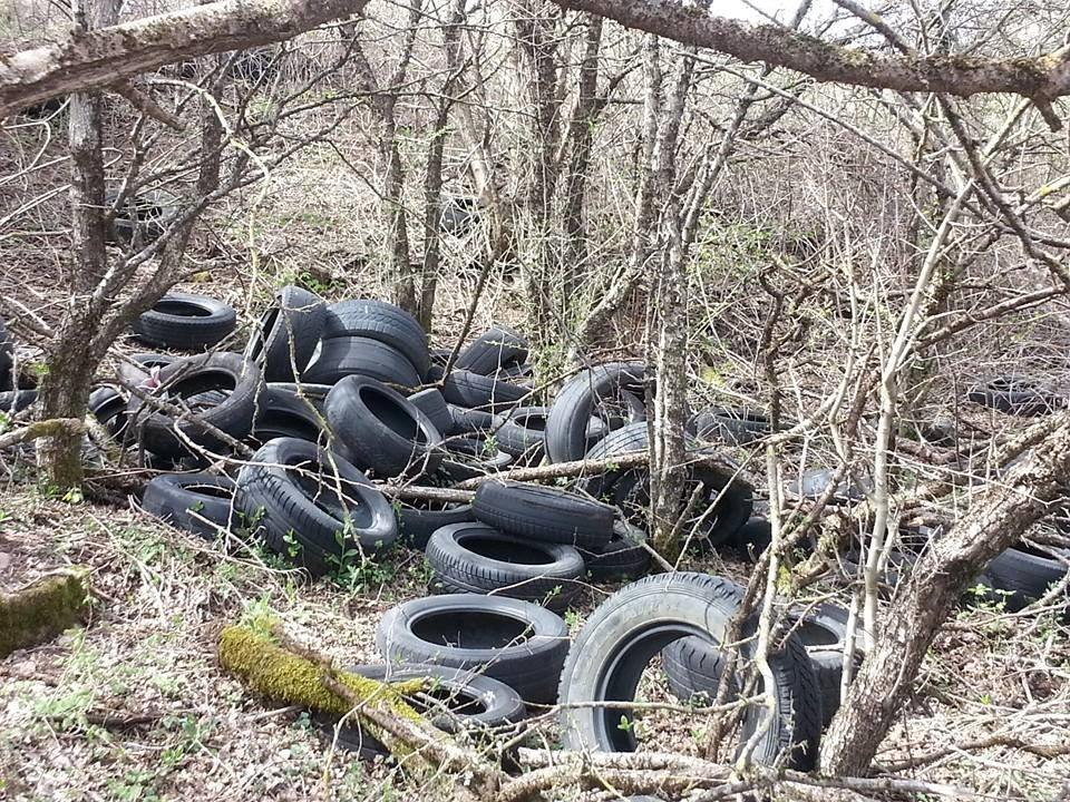 Le gomme abbandonate nel bosco