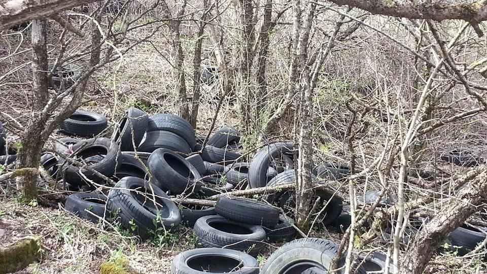 Le gomme abbandonate nel bosco