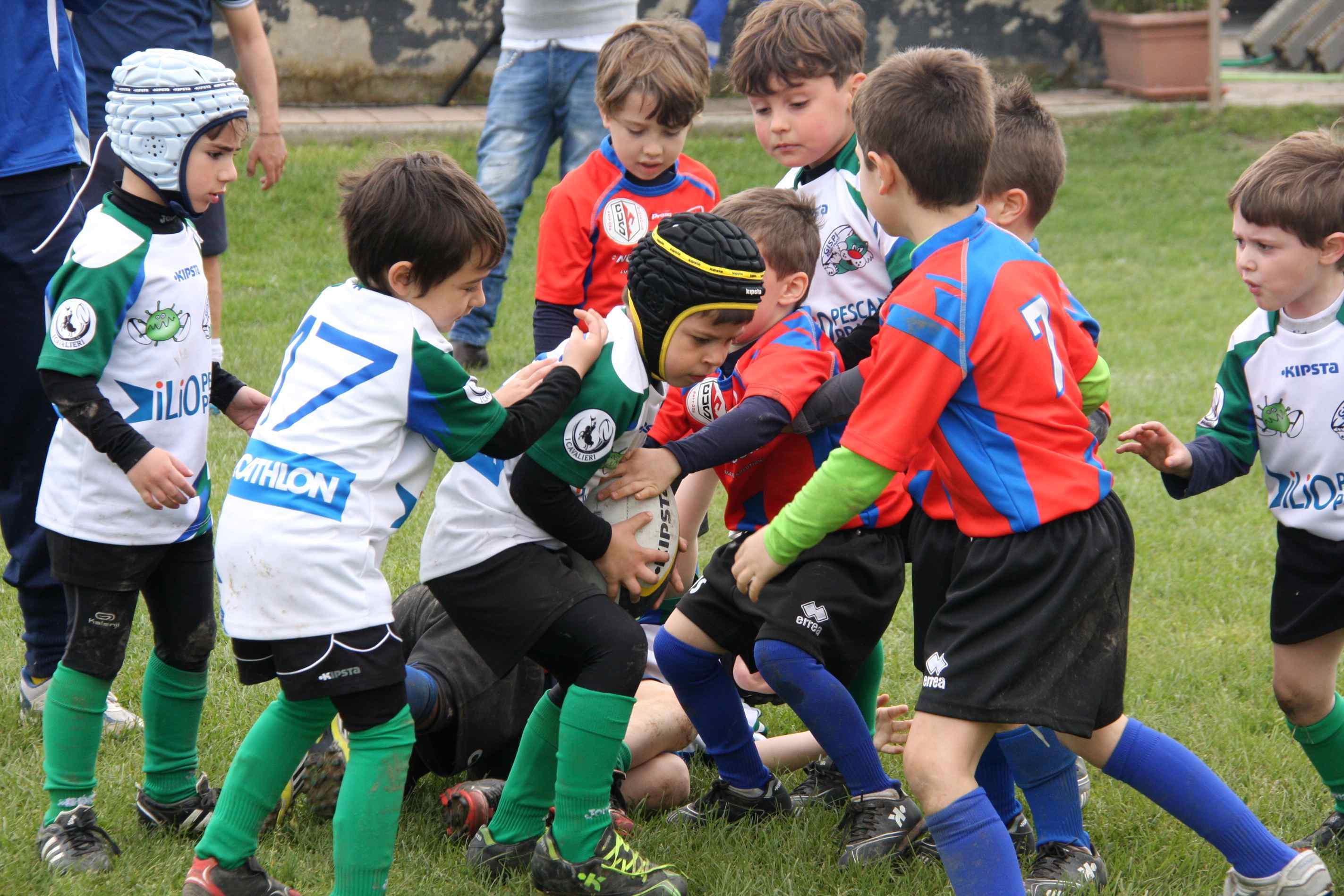 Una gara del trofeo Denti 2014
