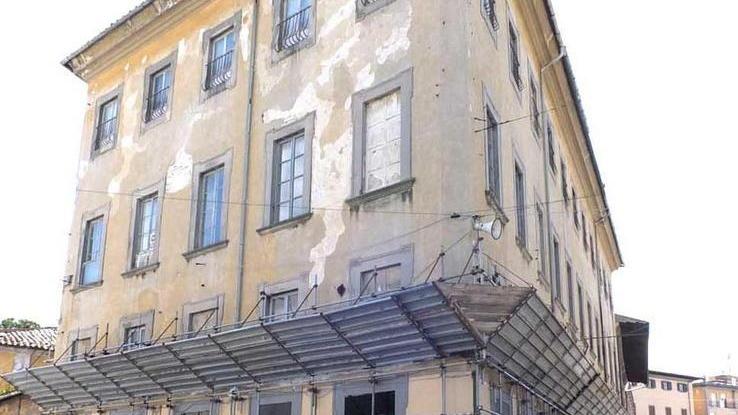 «Trovatelli da salvare» il grido dei commercianti