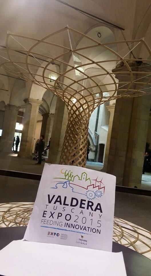 Il logo di Valdera Tuscany Expo