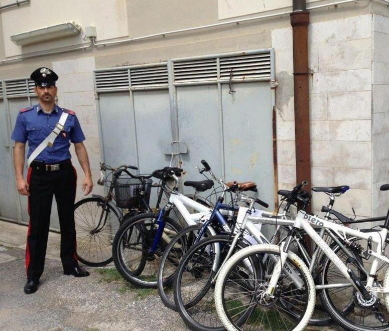 Campagna di manutenzione del verde privato e pubblico 