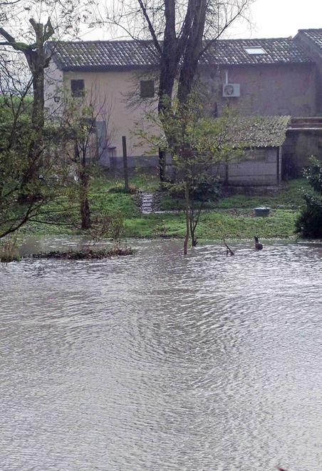 Maxi emergenza nella golena del Panaro 