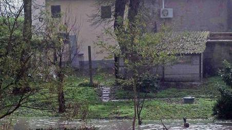 Maxi emergenza nella golena del Panaro