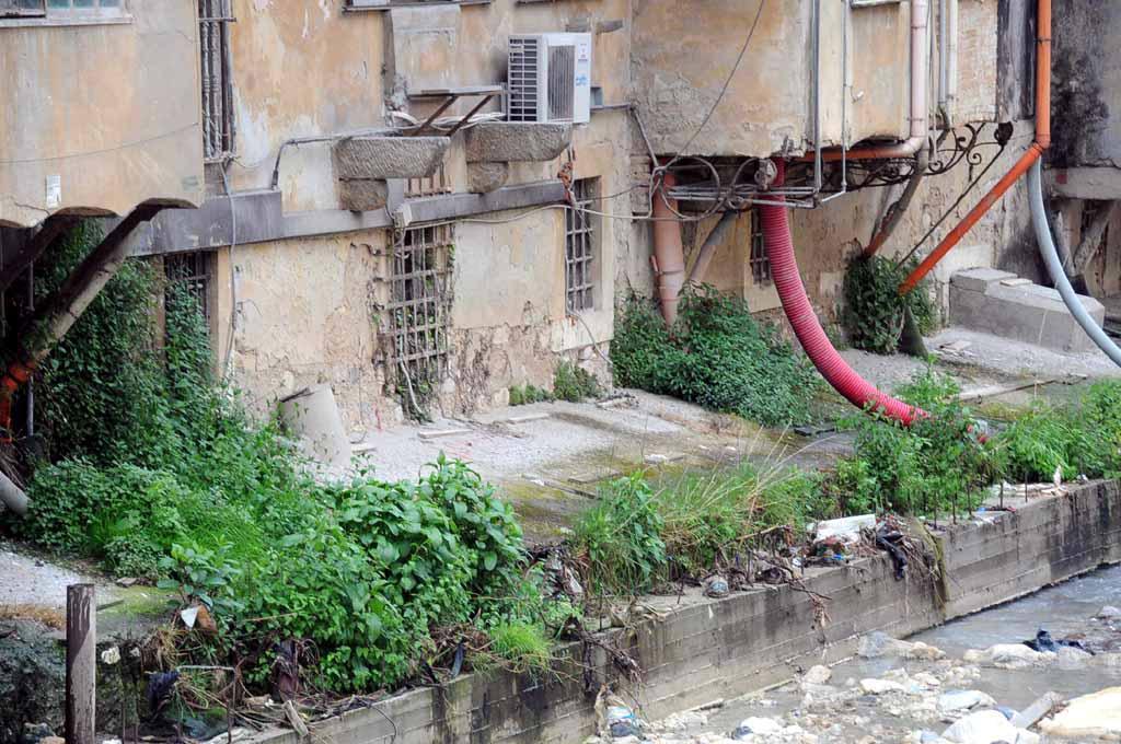 Finestre di case che si affacciano sul Carrione