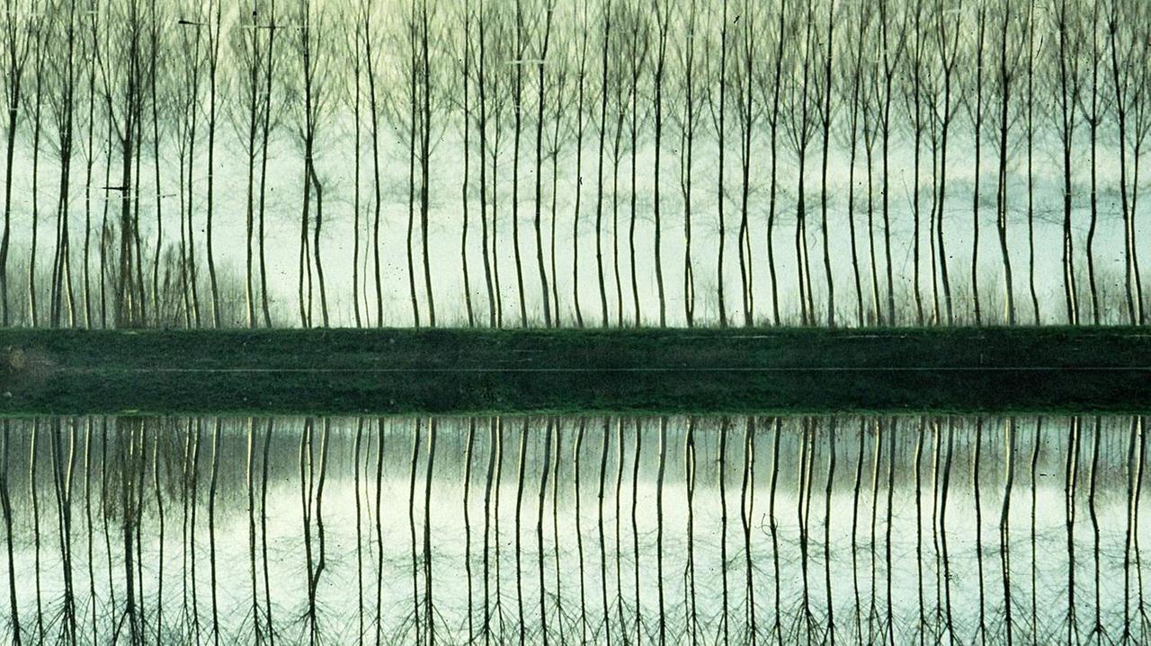 La stupenda foto di Francesca Negrini vincitrice del concorso