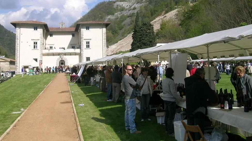 Seravezza per un fine settimana torna capitale dell’olio di qualità