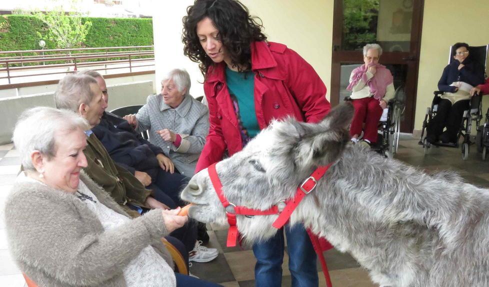 Grazie all’asino e ai conigli agli anziani torna il sorriso 