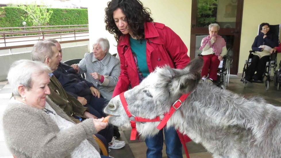 Grazie all’asino e ai conigli agli anziani torna il sorriso