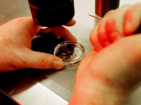 Avrà un figlio dal compagno deceduto 