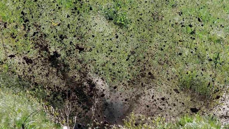 Fatta brillare la bomba trovata nel greto del fiume
