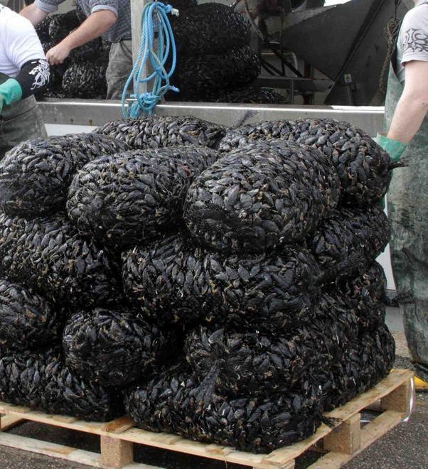 Perse la mano sulla barca 