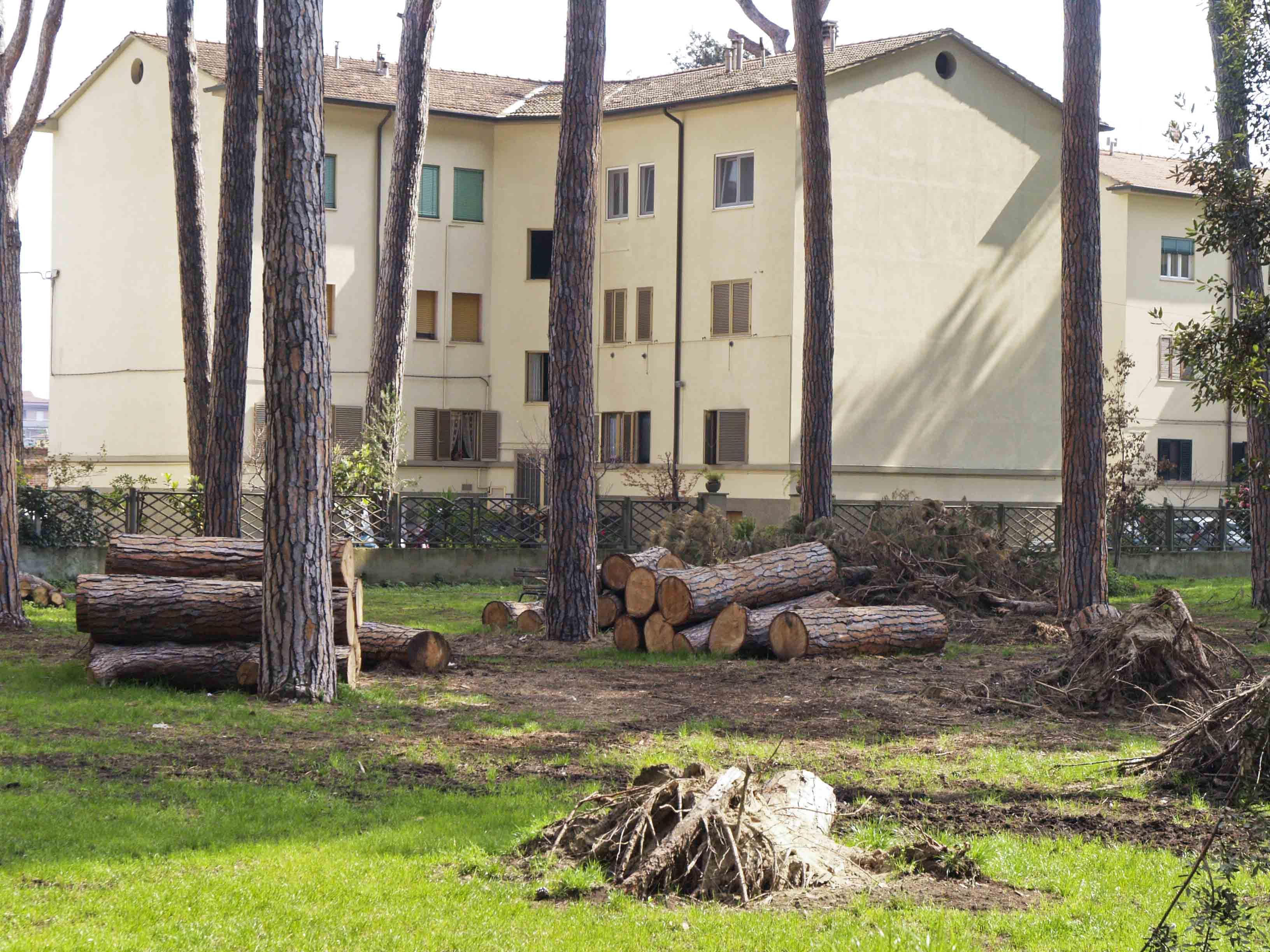 La pineta di levante in Darsena