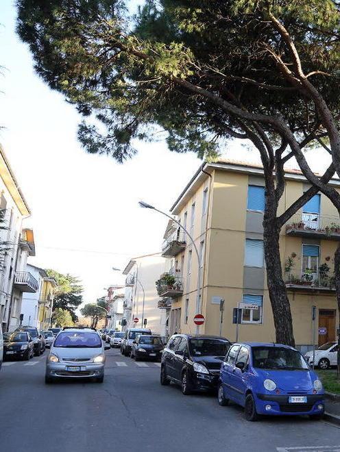 Protesta per i cani senza guinzaglio 
