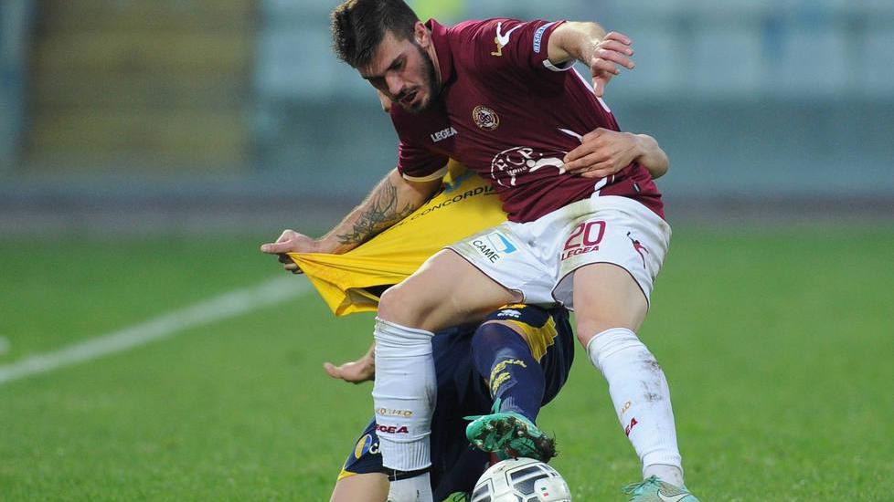 Tornano in trincea Ceccherini e Jelenic