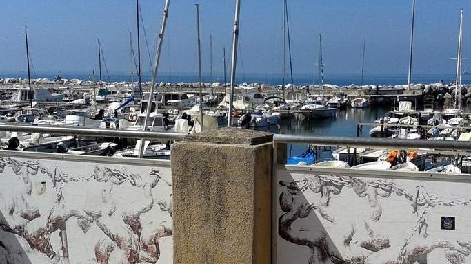 I delfini di ghisa non torneranno al porticciolo