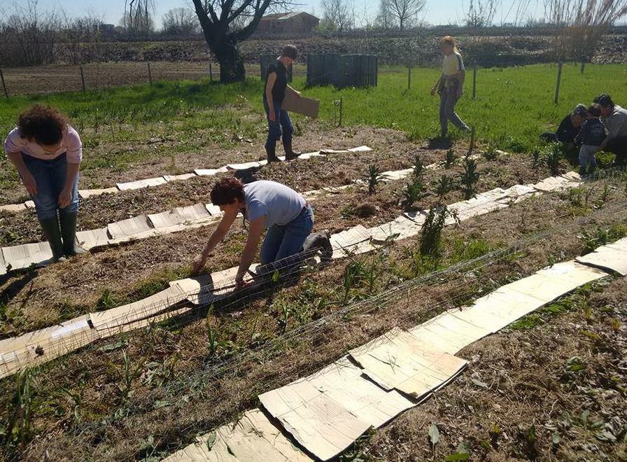 «Coltivare la terra per imparare che nulla è scontato» 