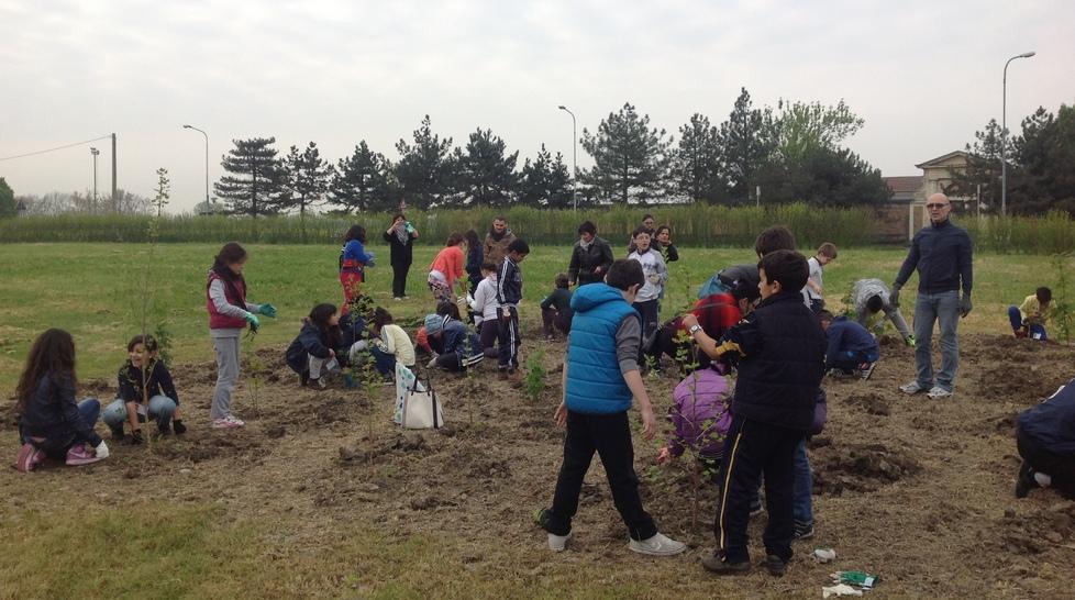 S’inaugura domani mattina il bosco progettato dai ragazzi