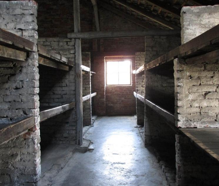 Il viaggio ad Auschwitz in una mostra 