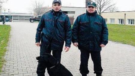 I cani fiutano la droga “nascosta” a scuola