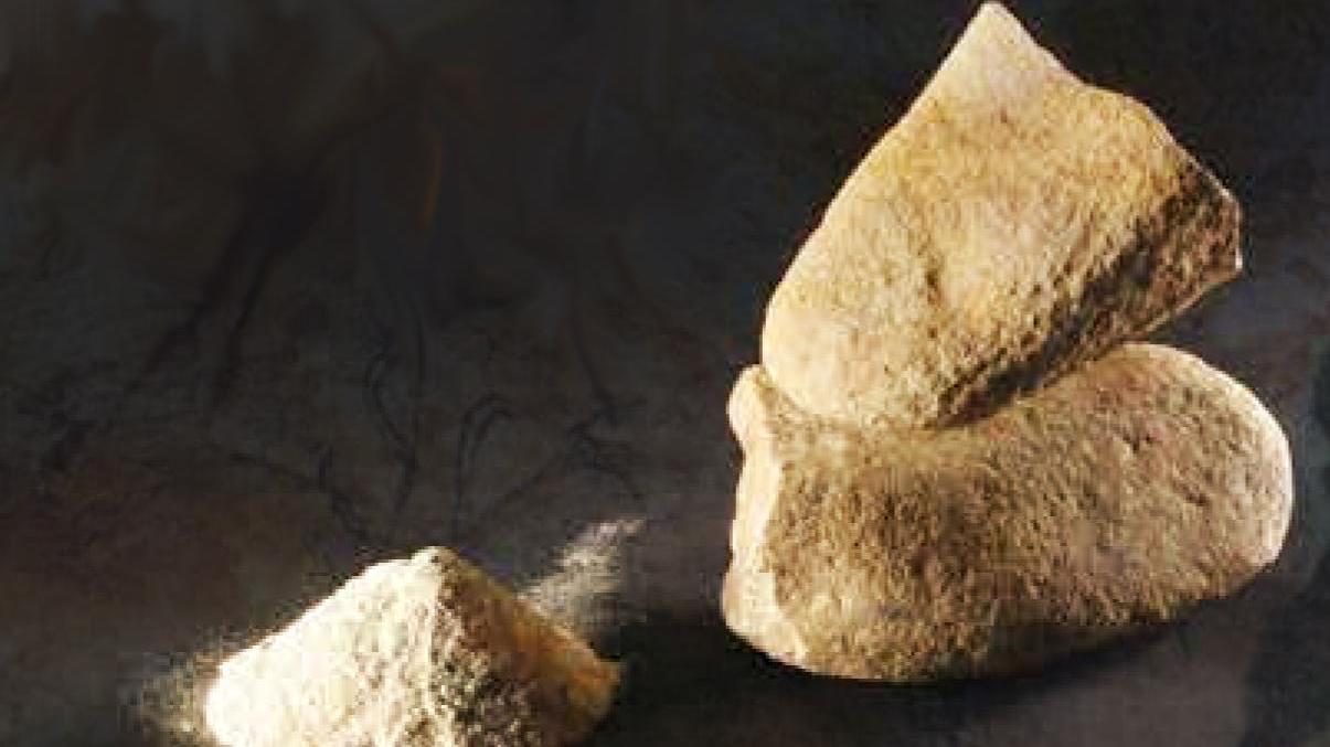 Expo, scoperta in Toscana la più antica farina al mondo