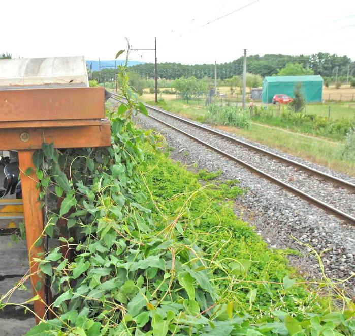 Linea da raddoppiare, via agli espropri 