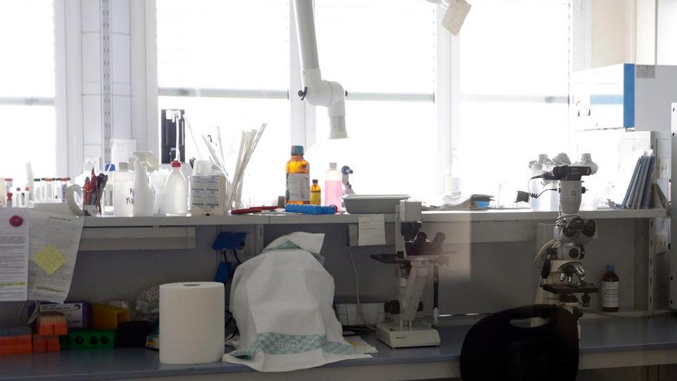 Ladri razziano il laboratorio oncologico