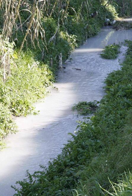 Stato ambientale alterato nelle acque del Rio Bonazzera
