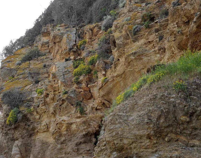Erosione e affollamento, la costa si sbriciola 