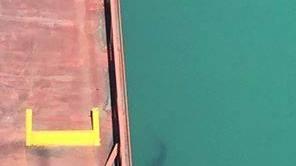 Lo squalo nel porto di Piombino