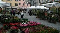 Torna domani il Bancarelfiore