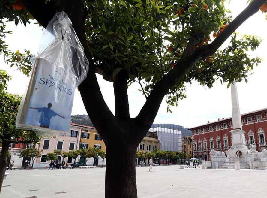 Strani frutti: romanzi e saggi sugli alberi di piazza Aranci